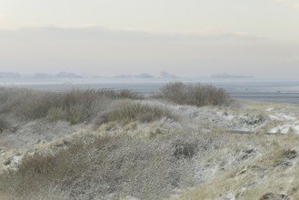 View over the snow-covered dune landscape of Norddeich, Wadden Sea at low tide, North Sea, Lower