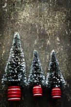 Three small Christmas trees adorned with a snowy white dust rest on a dark rustic wooden surface,