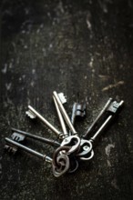 A collection of vintage keys is arranged on a rustic wooden surface. The dark background emphasizes