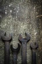 Different sizes of wrenches are arranged neatly on a weathered wooden surface, showcasing their