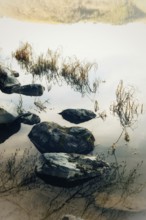 Calm waters mirror the smooth stones and delicate grass at the lakeside, creating a peaceful