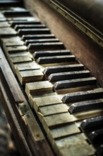 Focus on worn piano keys reveals the beauty of music and memories. The contrast in colors enhances