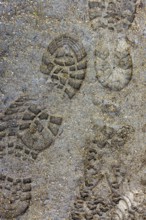 Fresh footprints are visible on a sandy trail, suggesting recent human activity in a natural