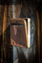 A vintage mailbox is mounted on a weathered wooden fence, bathed in warm sunlight. Its rusted