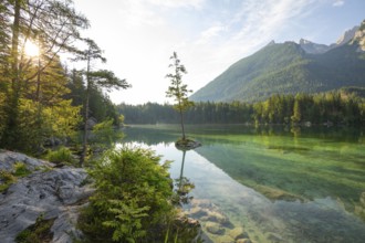 Summer morning at Hintersee near Ramsau in Berchtesgadener Land with sun star and reflection. The