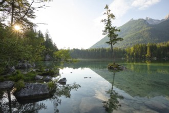 Summer morning at Hintersee near Ramsau in Berchtesgadener Land with sun star and reflection