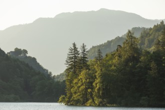 Sunrise in summer at Lake Thumsee near Bad Reichenhall. With a view of the Karlstein castle ruins