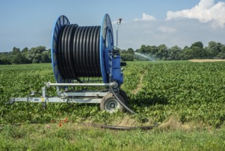 Agriculture, artificial irrigation of a field, irrigation system, sugar beet cultivation, Ystad