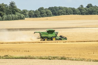 Landscape with threshing of grain with combine harvester at Ystad, Skåne county, Sweden,