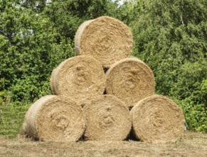 Storage of round straw bales in Skurup municipality, Skåne county, Sweden, Scandinavia
