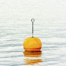 A bright orange buoy stands upright on the tranquil waters of Lake Geneva in Switzerland,