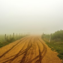 A dirt road winds through a dense fog in Auvergne, France, creating a mystical atmosphere. The
