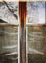 A vintage window frame reveals a rustic view, with dusty glass reflecting trees and capturing