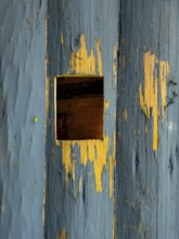 A small square opening in a weathered blue wooden surface showcases the contrast of peeling paint