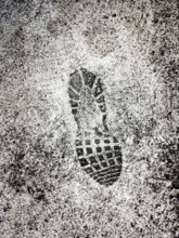 A distinct shoe print is marked on a wet surface, showing details of the tread pattern. Surrounding