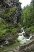 Wild and romantic Weißbach Gorge near Inzell