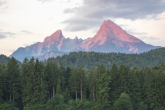 Morning alpenglow with a view of the Watzmann