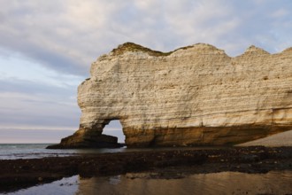 Cliffs with the Porte d'Amont rock gate, Etretat, Alabaster Coast, Seine-Maritime, Normandy, France
