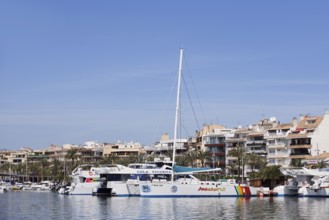 Boats in the harbour, Port d'Alcudia, Majorca, Balearic Islands, Spain