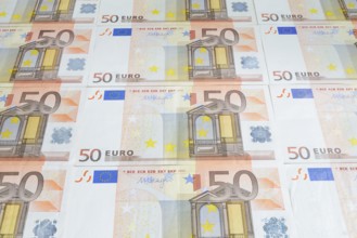 50 euro banknotes