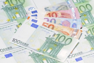 Various euro banknotes, 5 euro, 10 euro, 20 euro, 50 euro, 100 euro