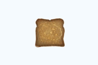 Rusk on a white background