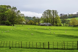 Farms, Pooley Bridge, Ullswater Lake, Lake District National Park, Cumbria, England, United Kingdom