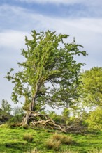 Mountains in Lake District National Park over Coniston Water, Cumbria, England, United Kingdom
