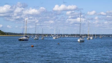 Boats over Brownsea Island, Poole, Dorset, England, United Kingdom