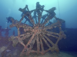 Old paddle wheel of a shipwreck, overgrown on the seabed. Dive site wreck Ville de Grasse, Giens