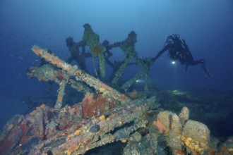 Diver examines the remains of an old shipwreck. Dive site wreck Ville de Grasse, Giens peninsula,
