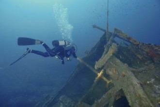Diver floats near a shipwreck while air bubbles rise to the surface. Dive site wreck Michel C,