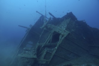 Rusty shipwreck lies quietly on the seabed under clear blue water. Dive site Wreck Michel C, Giens