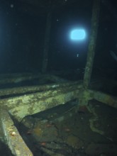 A quiet, deserted room in a shipwreck with blue light from the outside. Dive site wreck of the