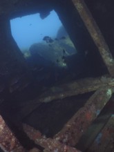 View of the underwater landscape with rocks through the window of a shipwreck. Dive site wreck of