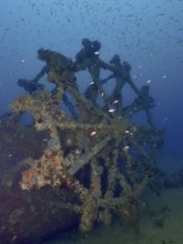 Dilapidated paddle wheel of a shipwreck with fish in the background. Dive site wreck Ville de