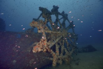 Underwater image of a decayed paddle wheel of a shipwreck, surrounded by fish. Dive site wreck