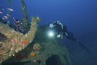 Diver exploring a colourful shipwreck with a torch in her hand. Dive site wreck Michel C, Giens