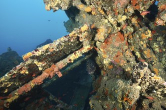 Debris of a shipwreck with bright colours and migrating fish. Dive site wreck Michel C, Giens