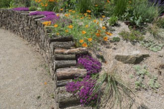 District educational garden, Burgsteinfurt, Münsterland, North Rhine-Westphalia, Germany