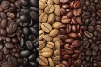 Collage of coffee beans grown in responsible and organic way, AI generated