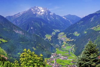 View of the village with Finkenberg and the Grinbergspitzen 2884m, Mayrhofen, Zillertal, Zillertal