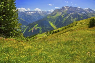 Mountain landscape in the Penken hiking area, Mayrhofen, Zillertal, Zillertal Alps, Tyrol, Austria