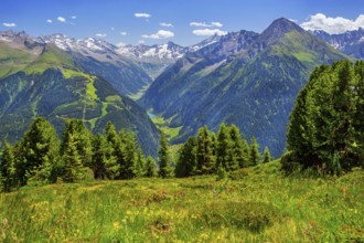 Mountain landscape in the Penken hiking area with views of the Stilluptal valley, Mayrhofen,