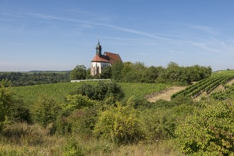 Pilgrimage church Maria im Weingarten, on a hill surrounded by vineyards with blue sky and green