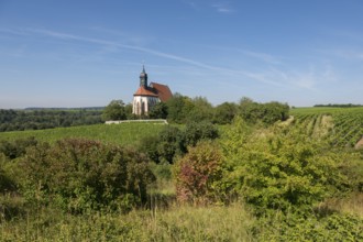 An idyllic summer landscape with the pilgrimage church Maria im Weingarten, nestled between