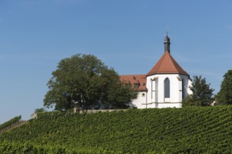 Monastery church Mariä Schutz an der Vogelsburg, vineyards, near Volkach, Mainfranken,
