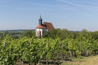 Pilgrimage church Maria im Weingarten, surrounded by vines, embedded in a green hilly landscape