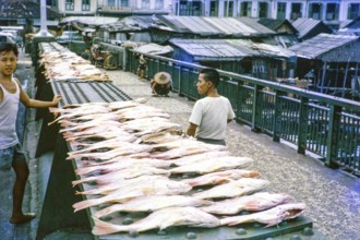Fish laid out on sale at side of a road bridge, Singapore, southeast Asia c 1963