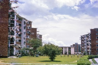 Children playing on grass area of residential area with blocks of flats, Singapore, southeast Asia